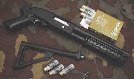 shotgun de poche Rs202m10