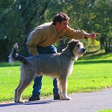 La sous-culture du parc à chiens: une guide l'intention.... Parcch10
