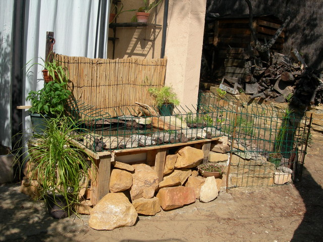 notre bassin pour tortues... Pt_bas13