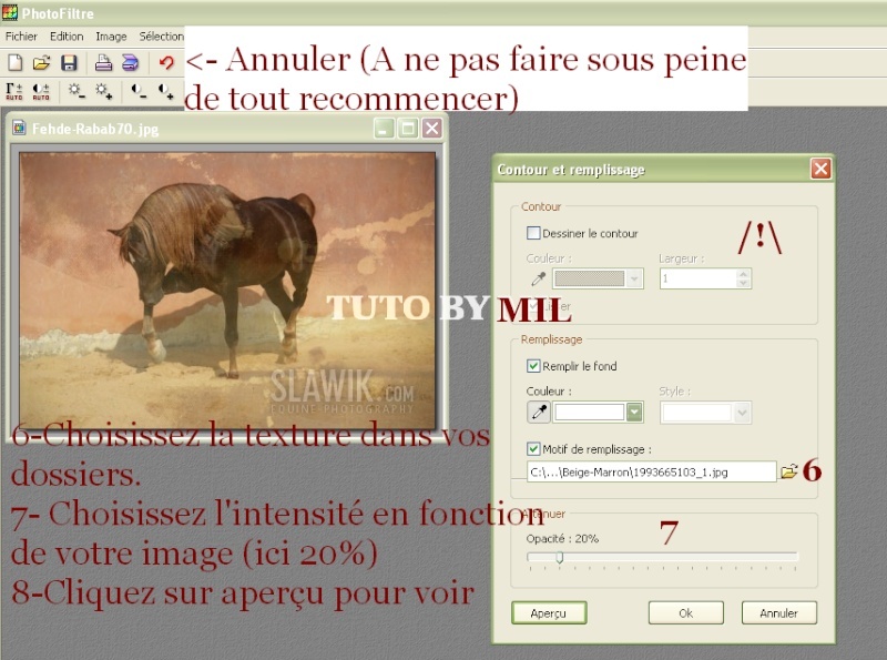 [photofiltre] Incruster une texture à une image Tuto_i10