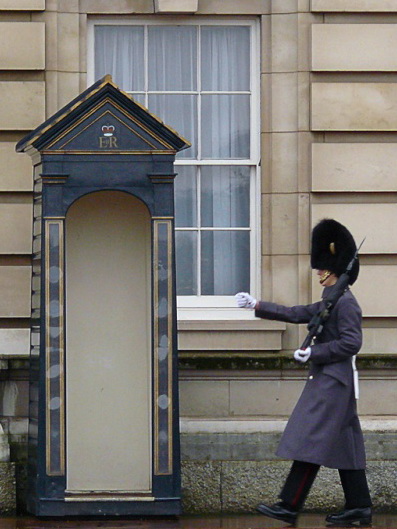 Le petit soldat mécanique P1030110