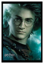 Affiches Promotionnelles HP4 Gaff2410