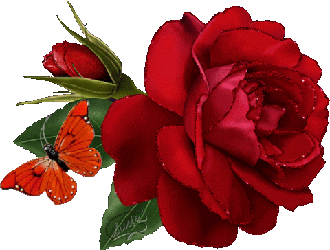 Q Tbn And9gcty2utwqjsqkg5sbkg5yjrla6twkjho9mtsta Usqp Cau Q Tbn And9gcty2utwqjsqkg5sbkg5yjrla6twkjho9mtsta Usqp Cau