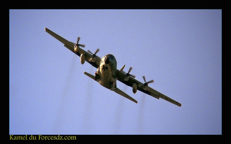 صور طائرات النقل والشحن الجزائرية [ C-130H/H30  /  Hercules ]  - صفحة 3 Deskto10