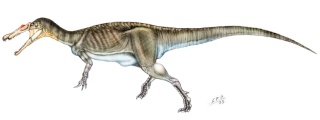 Le baryonyx [Dinosaure] Baryon10