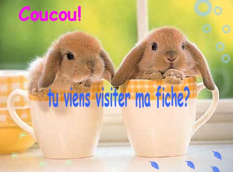 Dcorer votre fiche avec les lapins Lapino10