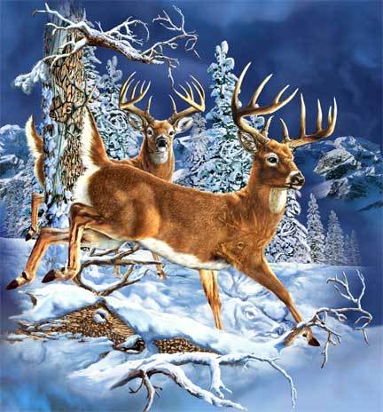 11 Deer - Steven M. Gardner Gardne10