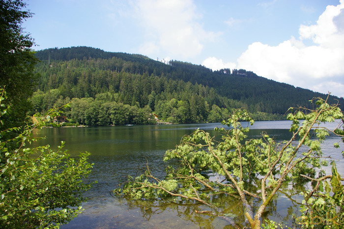 Le lac de Gérardmer Garard11