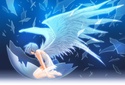 Angels - Asas coloridas Angel10
