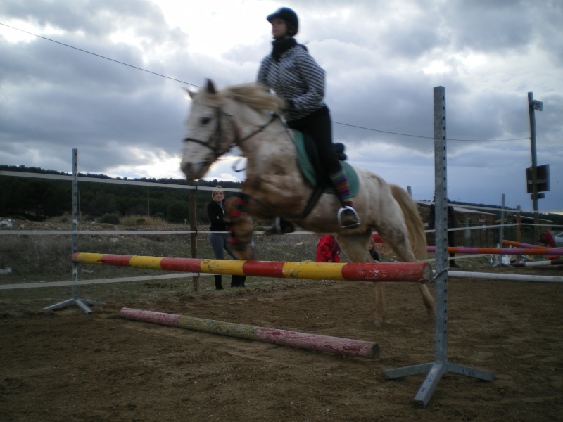 les cours chevaux Imgp0316