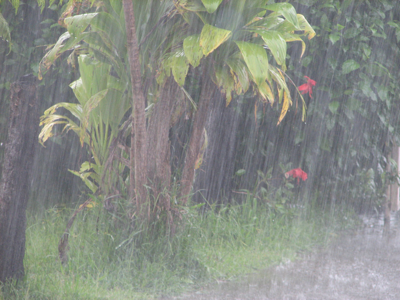 les fortes pluies sur les makes en vido Pluied10