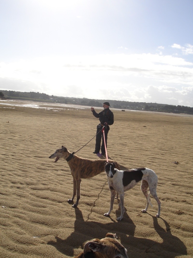 vacances en Bretagne avec les longs-nez! Dsc06416