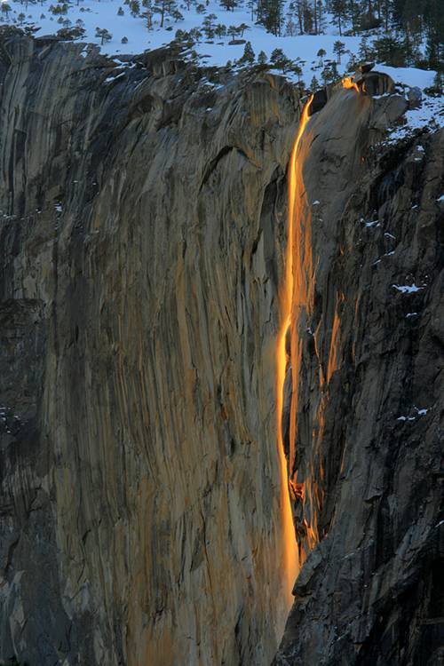 La chute de feu "El Capitan" - Parc National Yosemite - Californie - USA 29491810