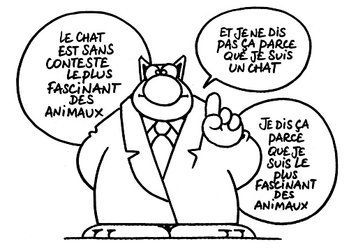 Un chat belge... Geluck10