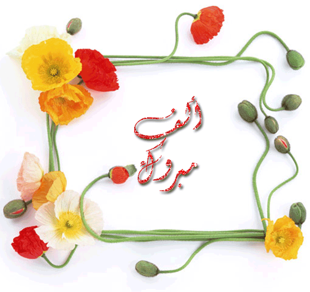 مدرسه الامام محمد عبده الابتدائيه