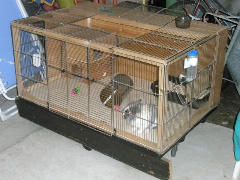 Habitation des lapins : exemples de cages, enclos ... - Page 2 P9130213