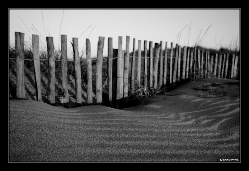 sur la plage abandonne Copie_22