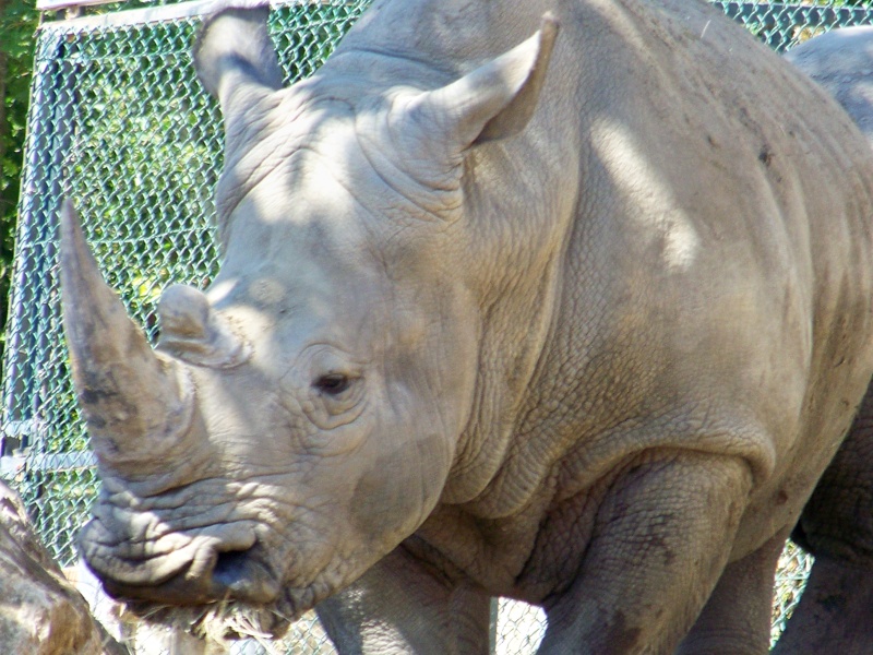 visite zoo beauval 100e3418