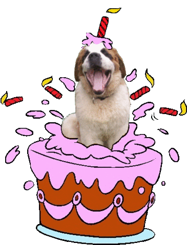 Bon Anniversaire Ludo Bon Anniversaire Ludo