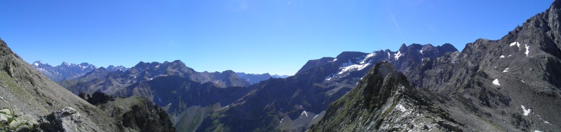 Faune des Hautes Alpes P7300213