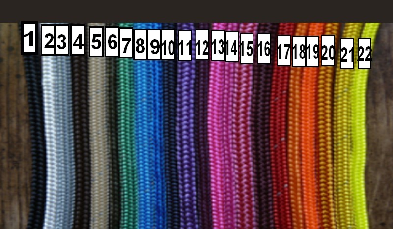 Quelle couleur ? Sans_t15
