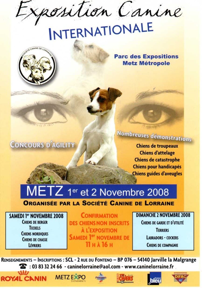 expo à metz le 1 et 2 nov 2008 Expo_d10