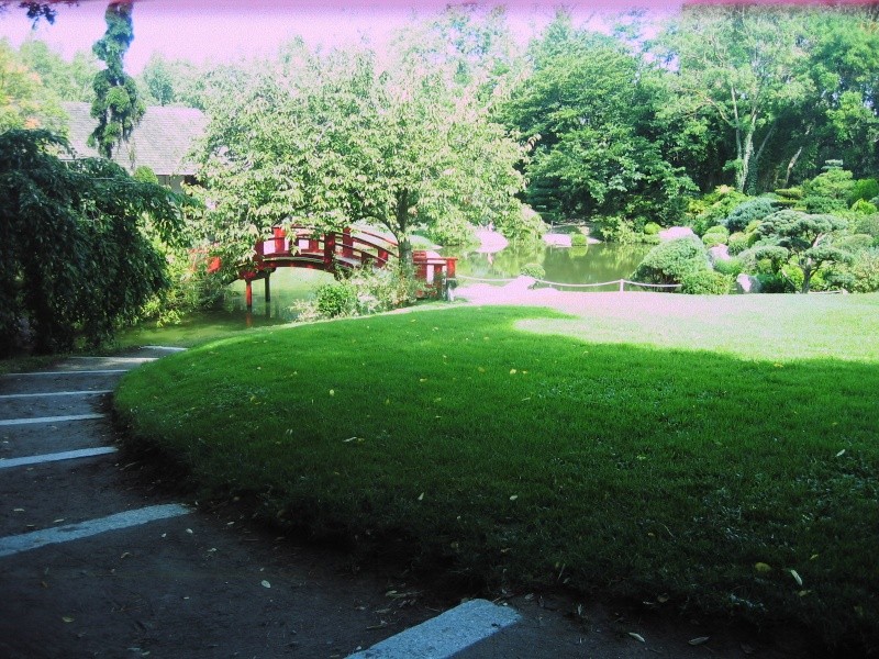 Toulouse-31- Jardin Japonais du Parc Compans Caffarelli Img_0119