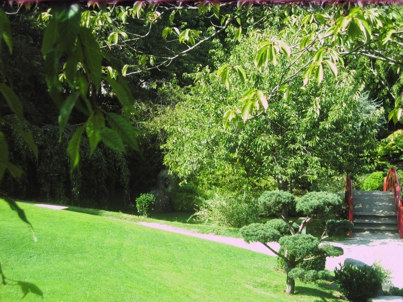 Toulouse-31- Jardin Japonais du Parc Compans Caffarelli Img_0125