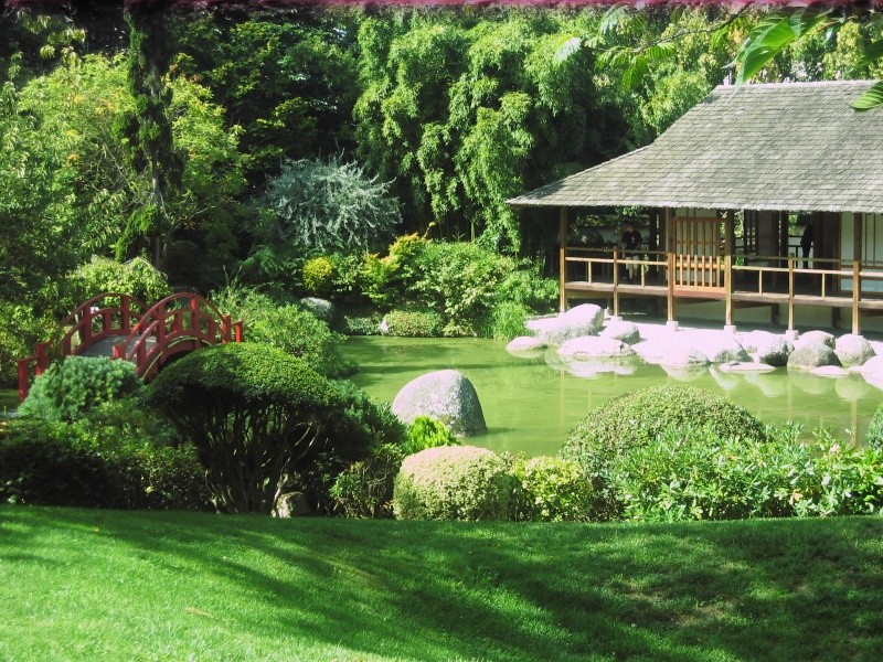 Toulouse-31- Jardin Japonais du Parc Compans Caffarelli Img_0129