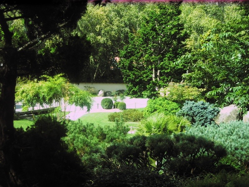 Toulouse-31- Jardin Japonais du Parc Compans Caffarelli Img_0131