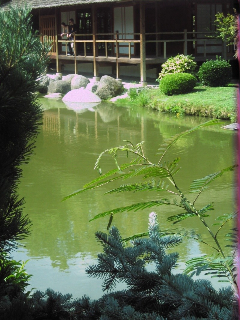 Toulouse-31- Jardin Japonais du Parc Compans Caffarelli Img_0139