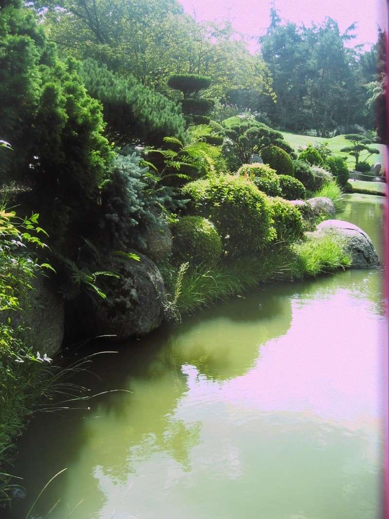 Toulouse-31- Jardin Japonais du Parc Compans Caffarelli Img_0141
