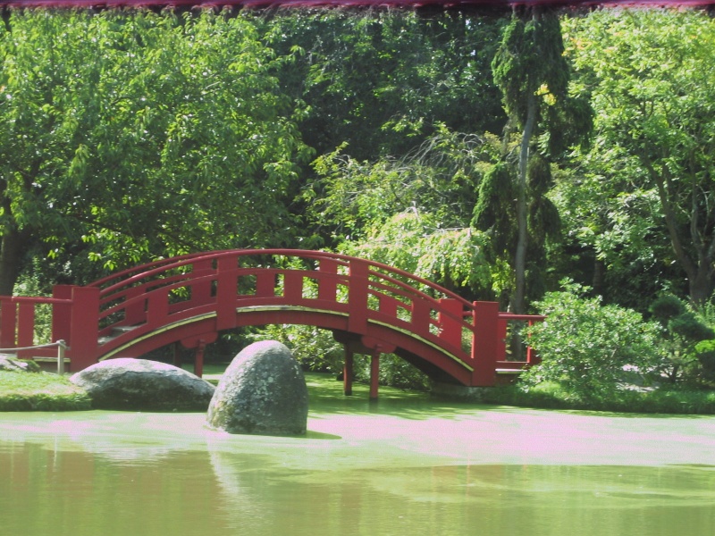Toulouse-31- Jardin Japonais du Parc Compans Caffarelli Img_0143