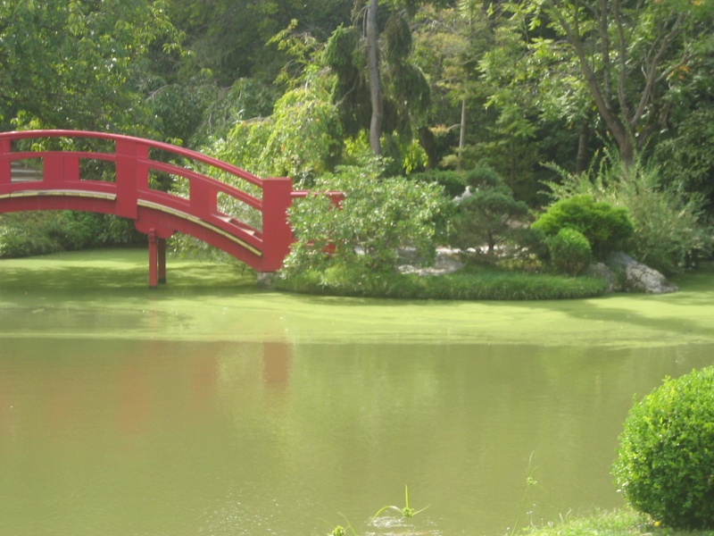 Toulouse-31- Jardin Japonais du Parc Compans Caffarelli Img_0214