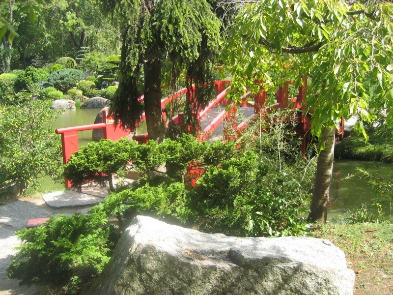 Toulouse-31- Jardin Japonais du Parc Compans Caffarelli Img_0231