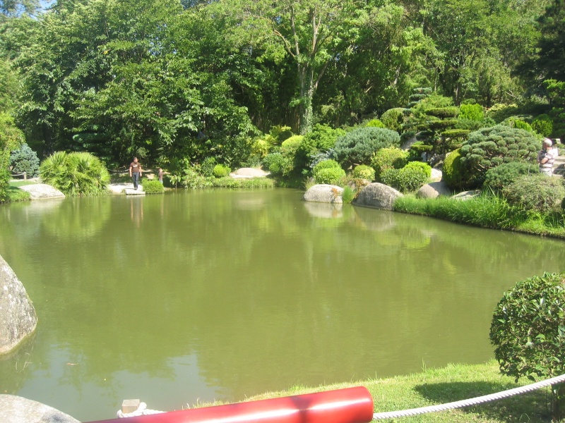 Toulouse-31- Jardin Japonais du Parc Compans Caffarelli Img_0241