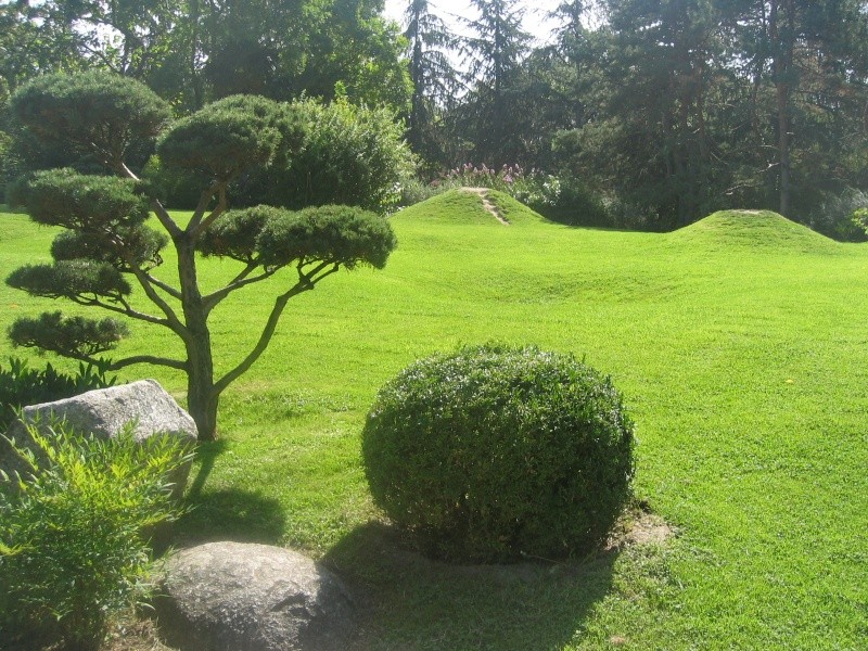 Toulouse-31- Jardin Japonais du Parc Compans Caffarelli Img_0245