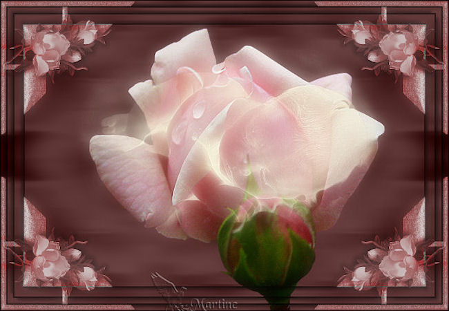 2- Thme fleurs Rose10