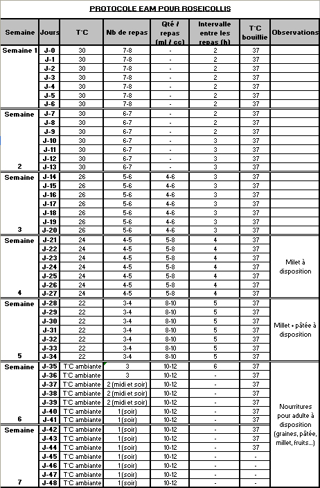 Pipioute ( roseicollis) - Page 4 Protoc10