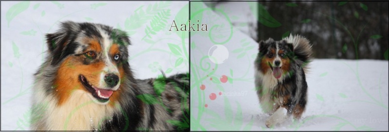 Aakia,histoire oubliée Akia10