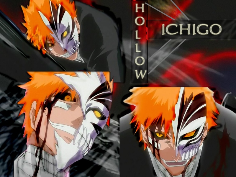 Ichigo Kurosaki Ichigo11