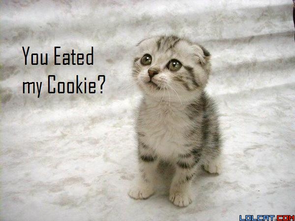 lol cats Cookie10