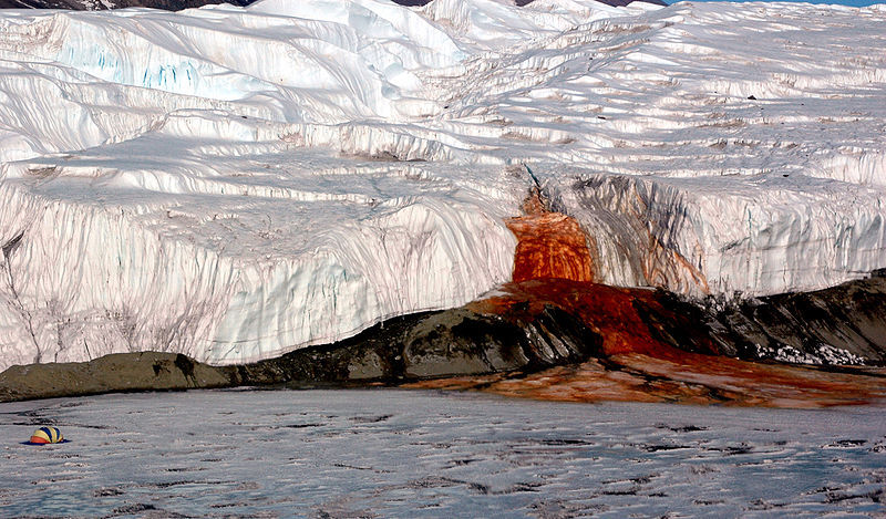 Un glacier qui saigne en Antarctique!!! 60531310