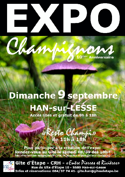 Expos de Champignons ***2012 *** Expos-10