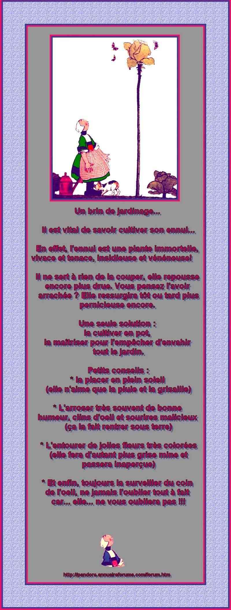 ARCHIVES DE POESIES ET TEXTES N° 5 072