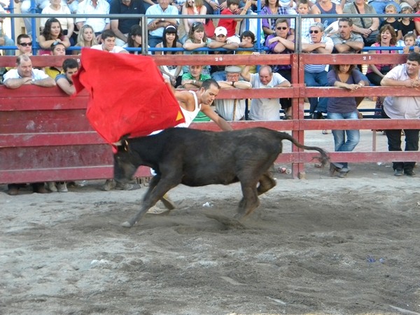 MORATA DE JALÓN (ZARAGOZA) SESIONES DE VAQUILLAS DE HNS.JOVEN SALAS Y HNS.MURILLO CONDE Dscn5212