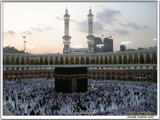 فندق موفنبيك برج هاجر مكة .. 5110