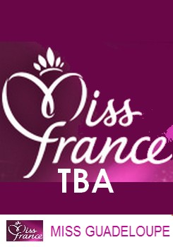 Road to Miss France 2011 Sans_t21