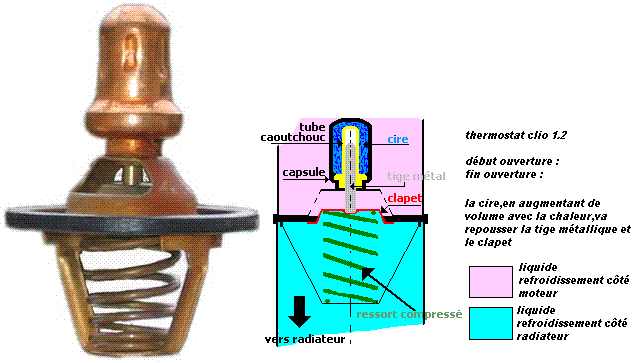 sens calorstat Thermo10