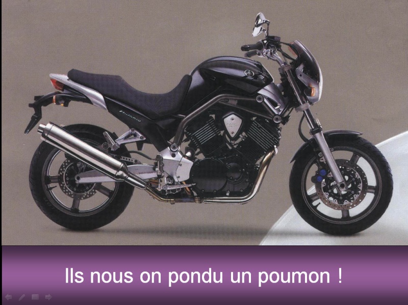 Modif du 12 avec du bulldog Poumon10